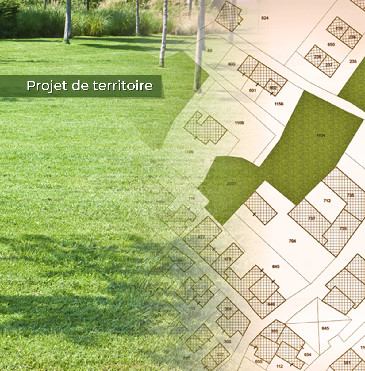 Le projet de territoire