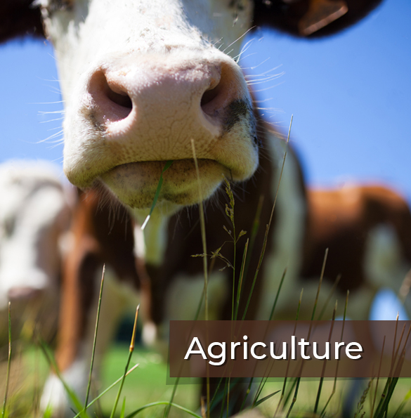 Agriculture
